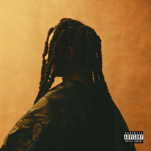 借种被C哭高H野外糙汉视频
